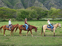 �N���b�N���ĂˁI